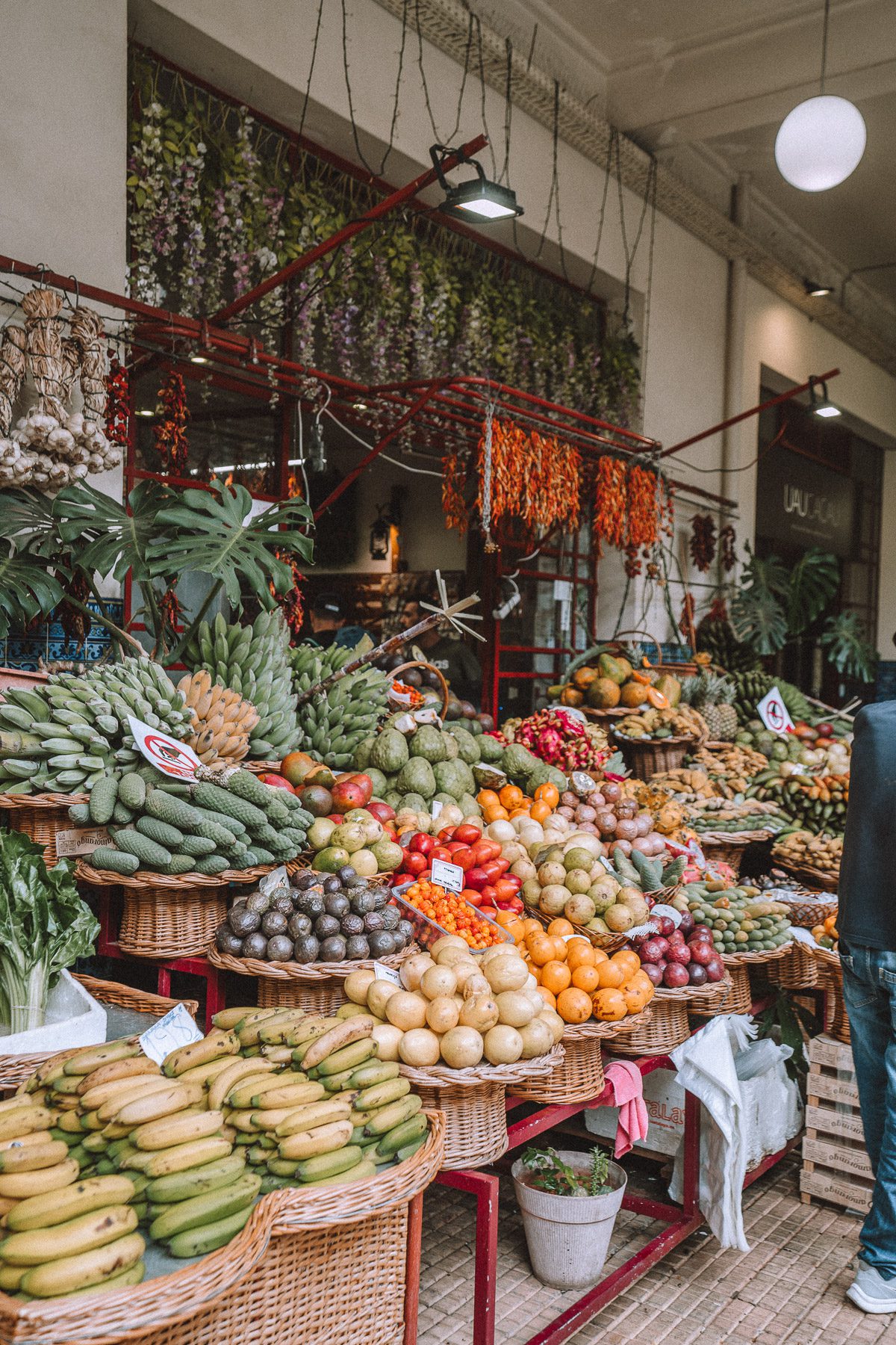 madeira-cherrielynn-02195 madeira-cherrielynn-02195