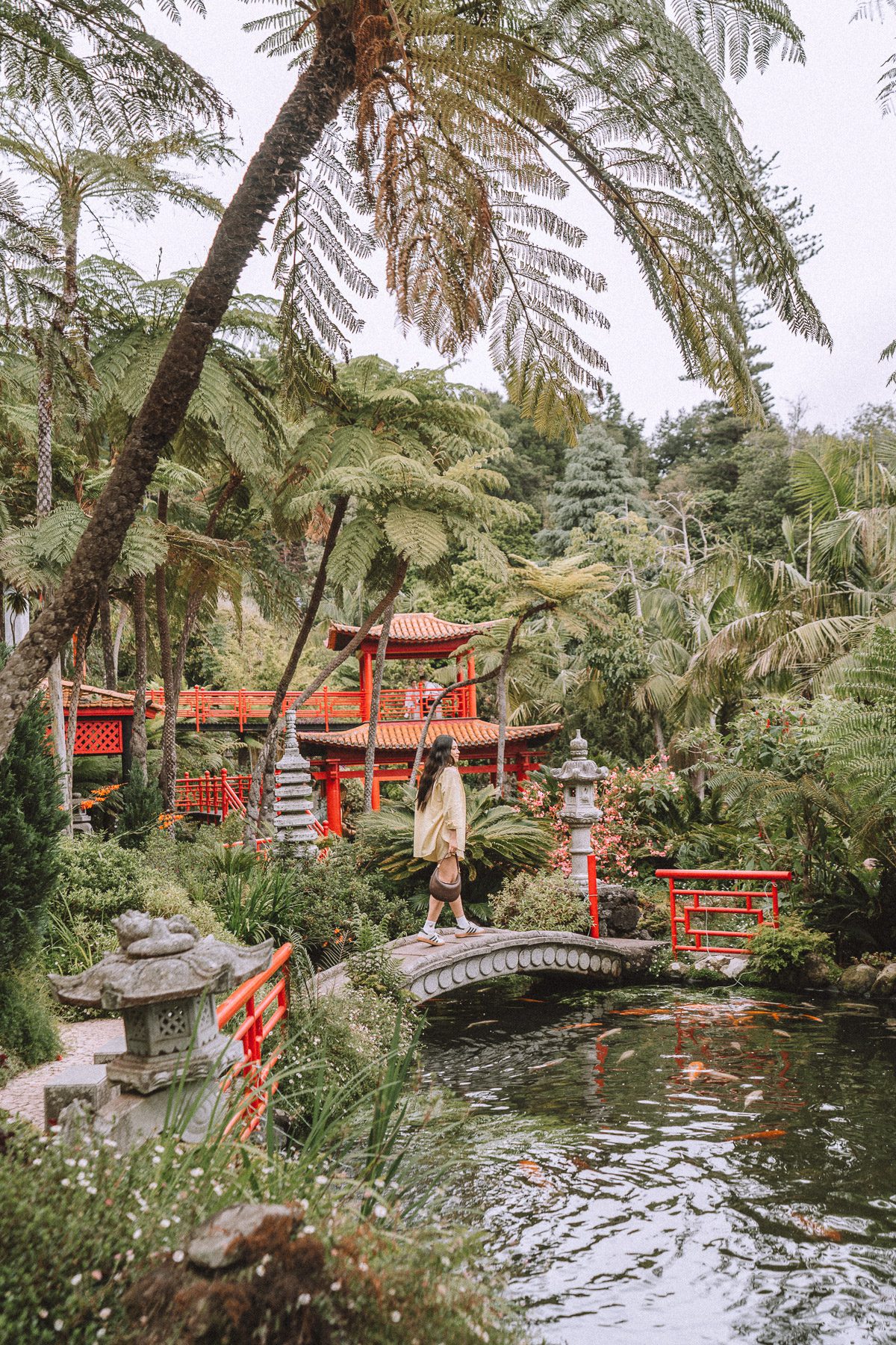 madeira-cherrielynn-02236 madeira-cherrielynn-02236