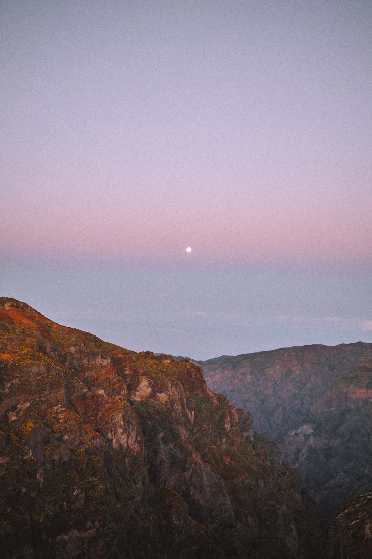 madeira-cherrielynn-02824 madeira-cherrielynn-02824