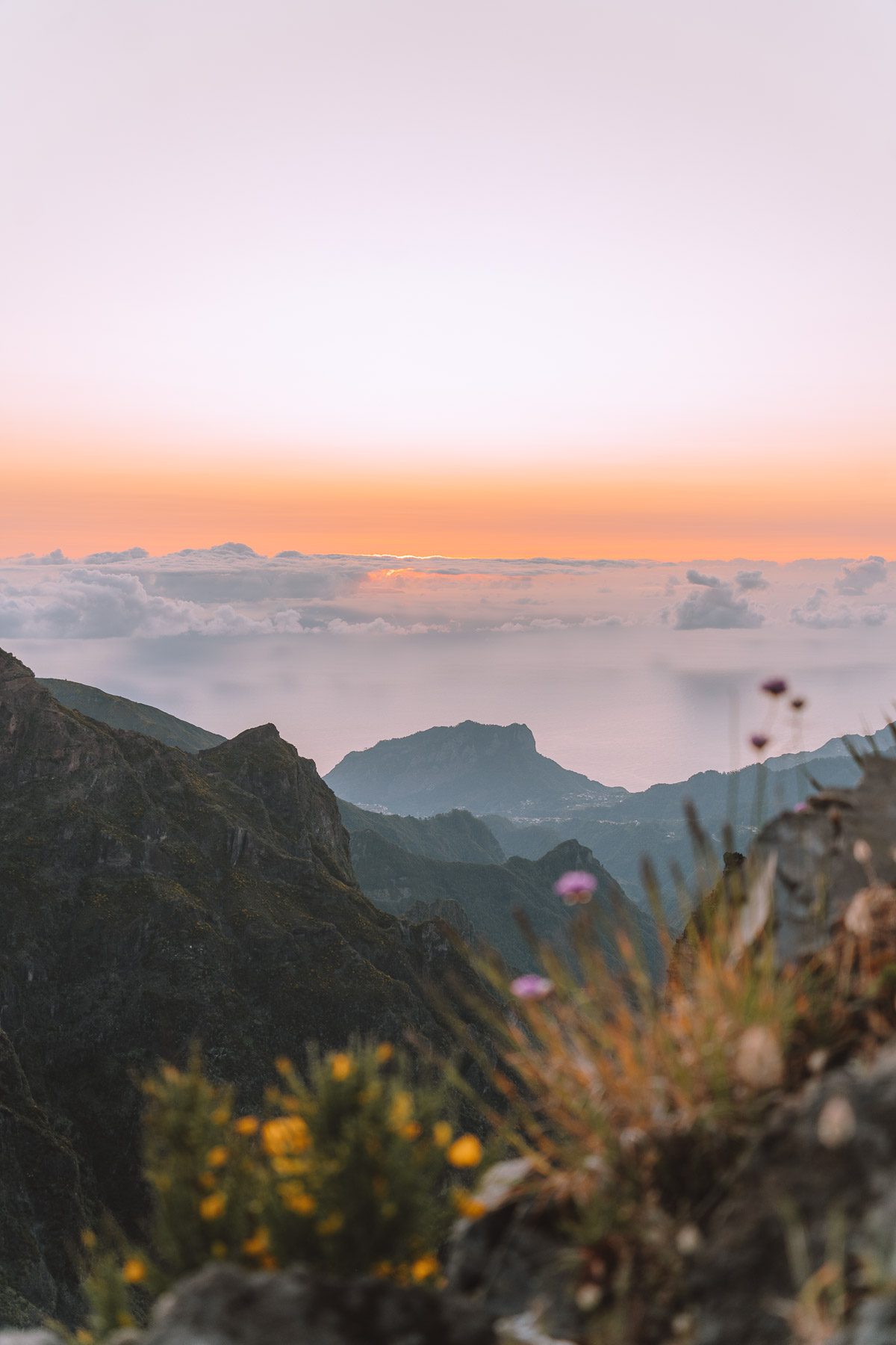 madeira-cherrielynn-02832 madeira-cherrielynn-02832