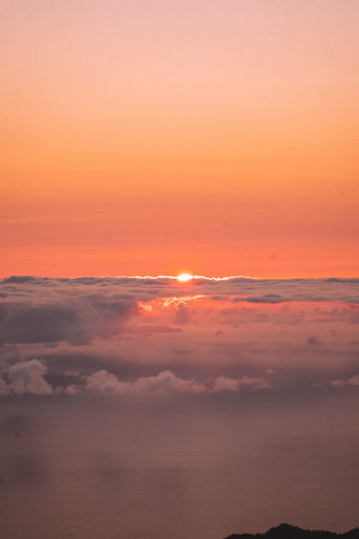 madeira-cherrielynn-02839 madeira-cherrielynn-02839
