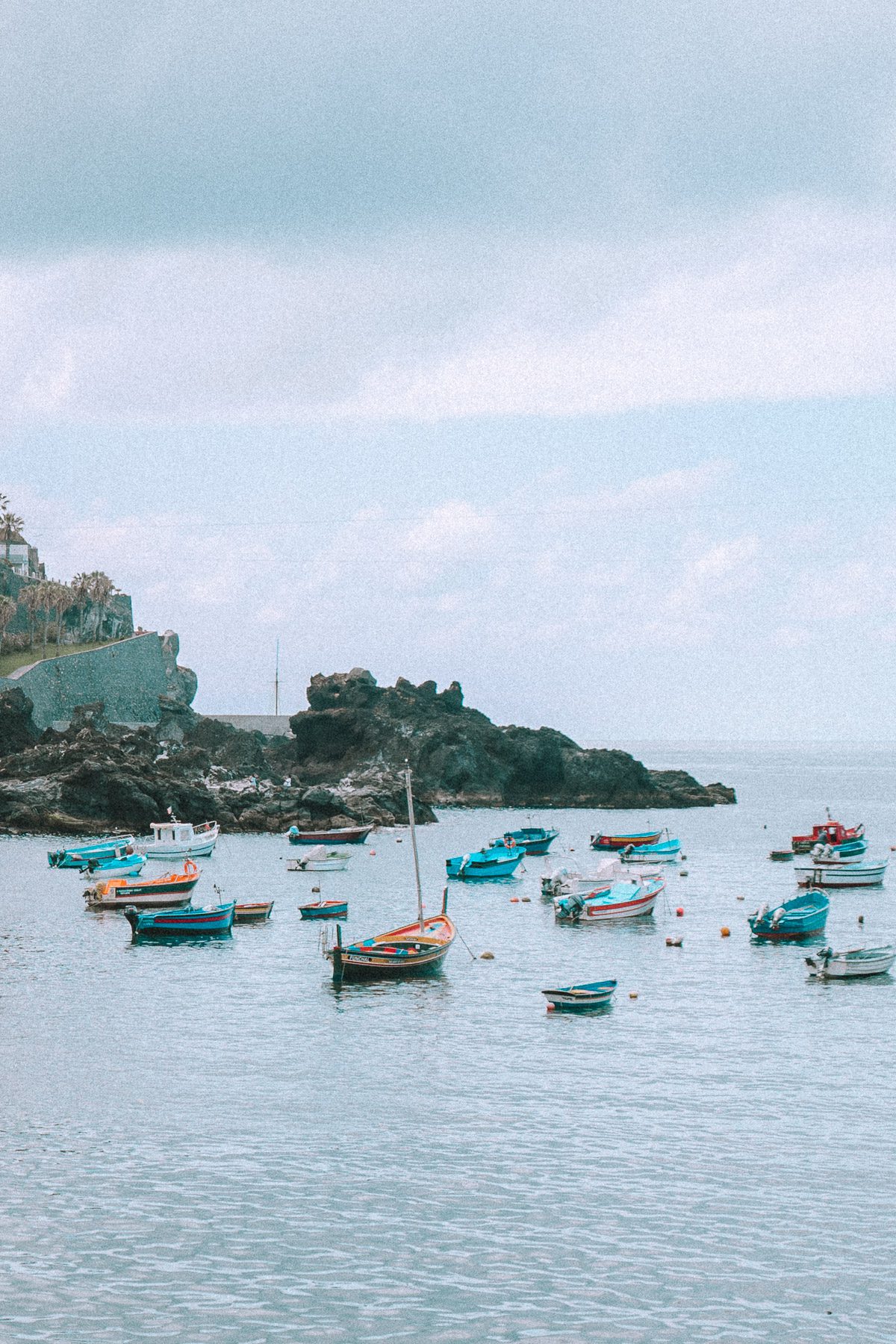 madeira-cherrielynn-02891 madeira-cherrielynn-02891