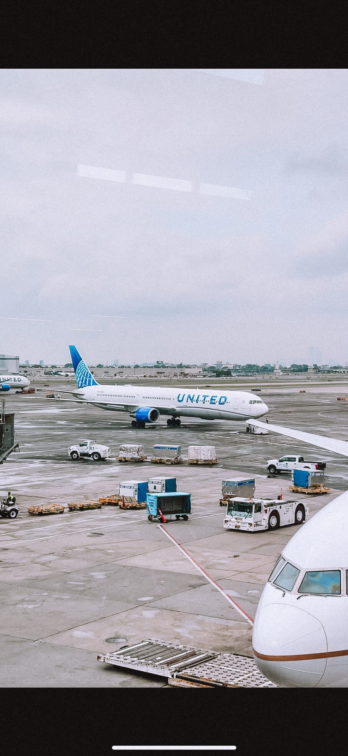 madeira-cherrielynn-7877 madeira-cherrielynn-7877